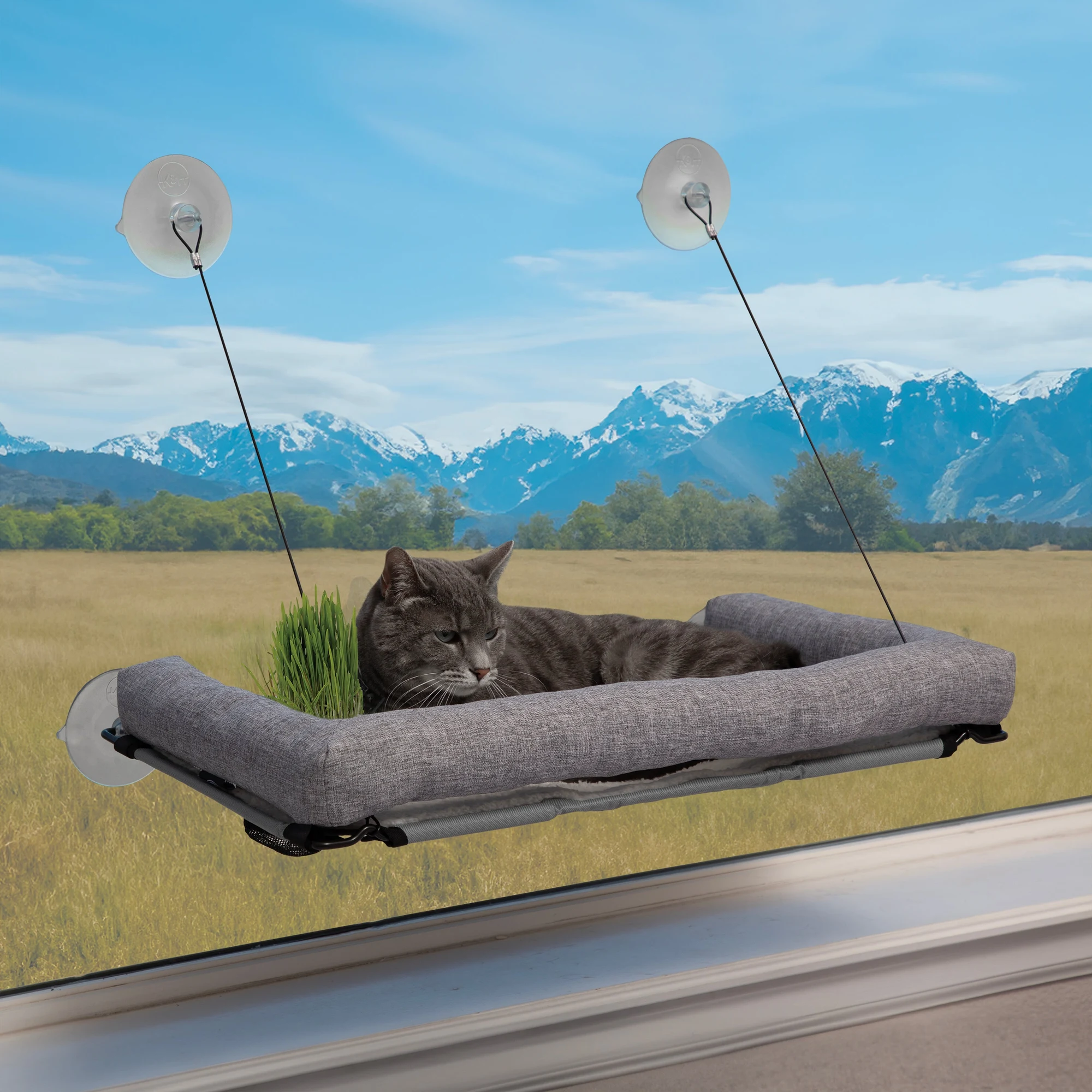 K&H Pet Products