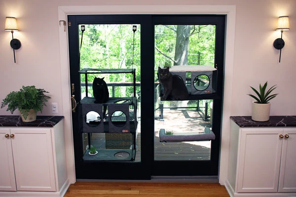 Cats love spending time next to warm windows. Getting a window perch can be a great choice for almost any kitty.