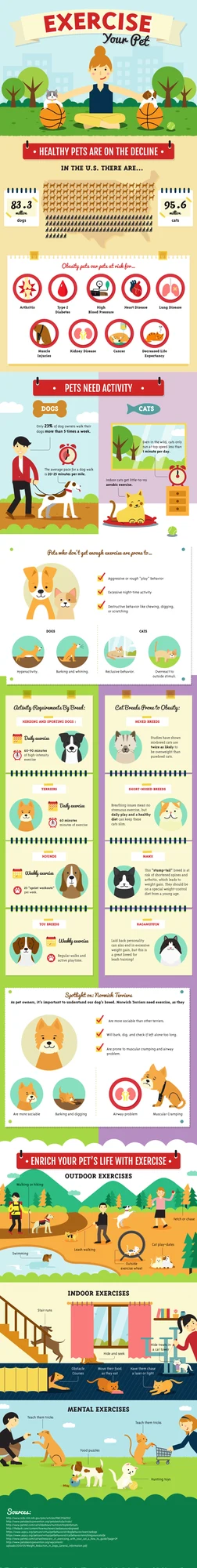 Exercise your Pet Exercise your Pet Infographic