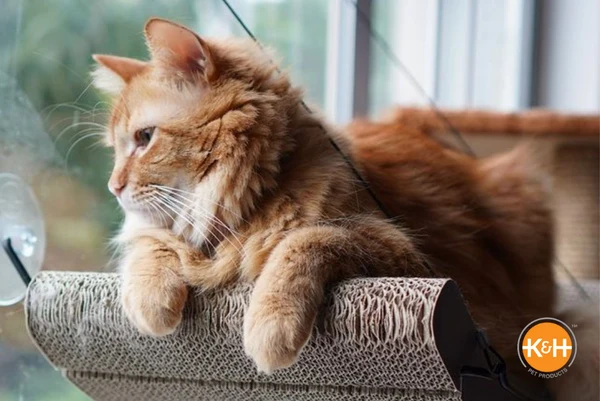 K&H Pet Products