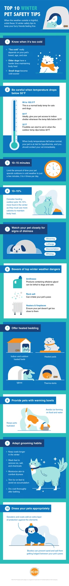 Top 10 Winter Pet Safety Tips (infographic)