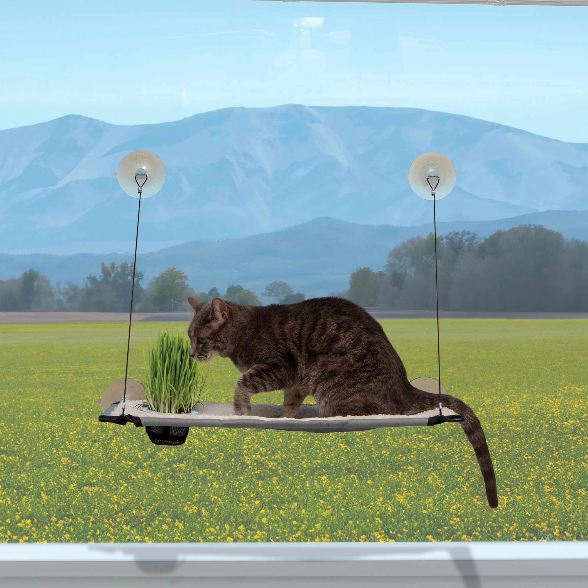 K&H Cat Window Perch With Cat Grass