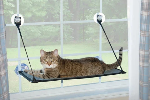 K&H Pet Products