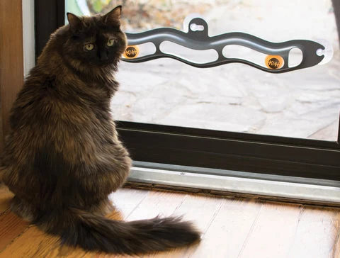 Cat room toy.