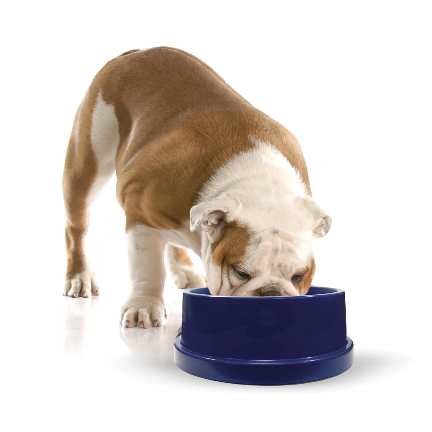 K&H Coolin' Bowl Blue, 96 Oz.